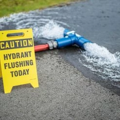 Cheap 🧨 Pollardwater FlushPro 2-1/2 in. Flushing Diffuser 👍 -Valve Sale Query 119