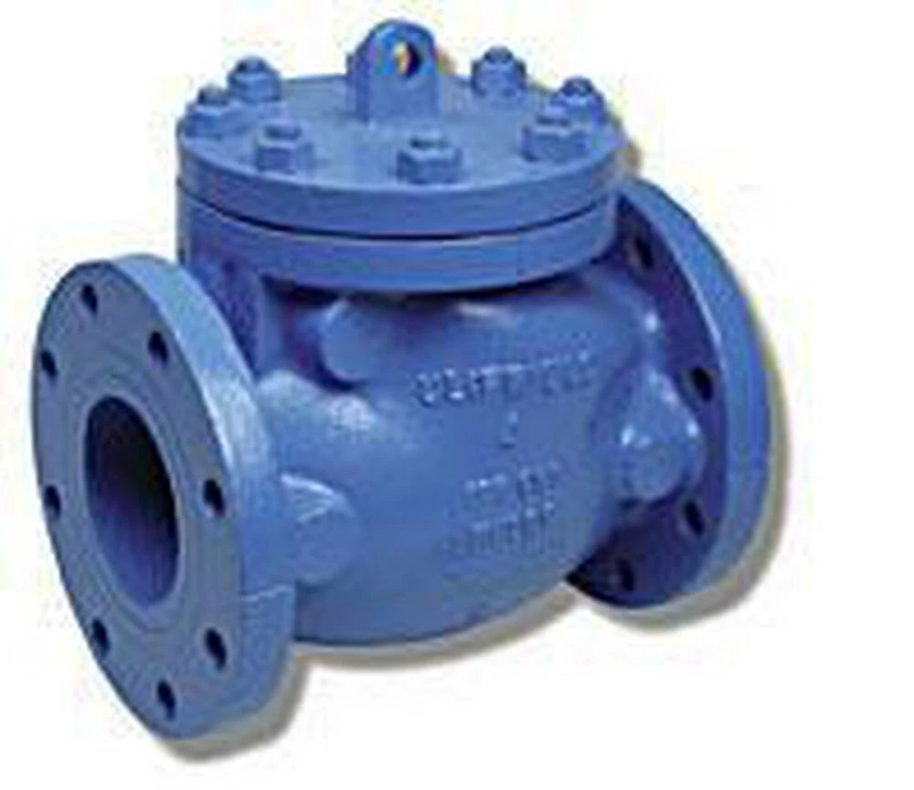 Cheapest π Matco-Norca 120U 6 in. Cast Iron Flanged Swing Check Valve β 1 Cheapest π Matco-Norca 120U 6 in. Cast Iron Flanged Swing Check Valve β